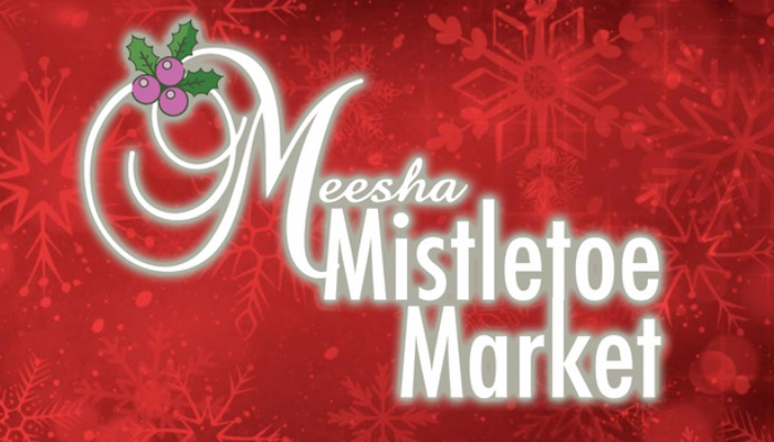 Meesha Aesthetic