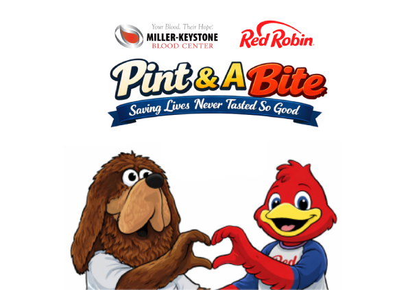 Red Robin Image